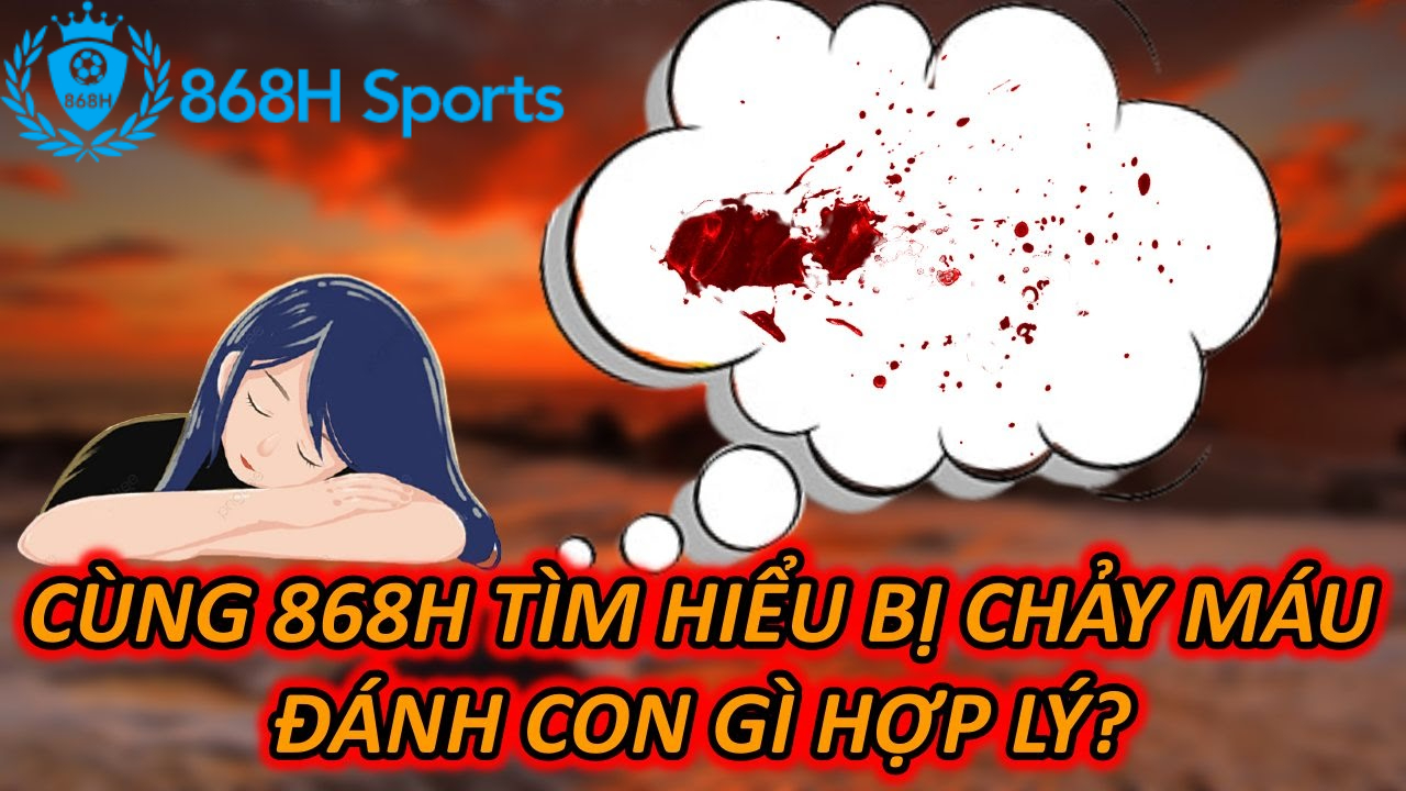 Cùng 868H Tìm Hiểu Bị Chảy Máu Đánh Con Gì Hợp Lý?