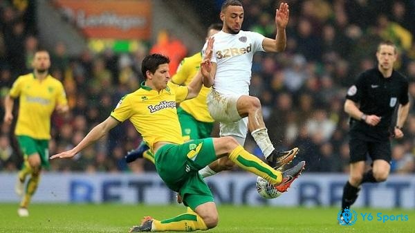 Norwich và Leeds là 2 đội bóng có phong độ thi đấu tương đương nhau