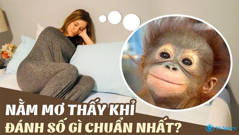 Nằm mơ thấy khỉ đánh số mấy là phát tài?