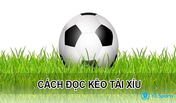 Các đọc kèo tài xỉu