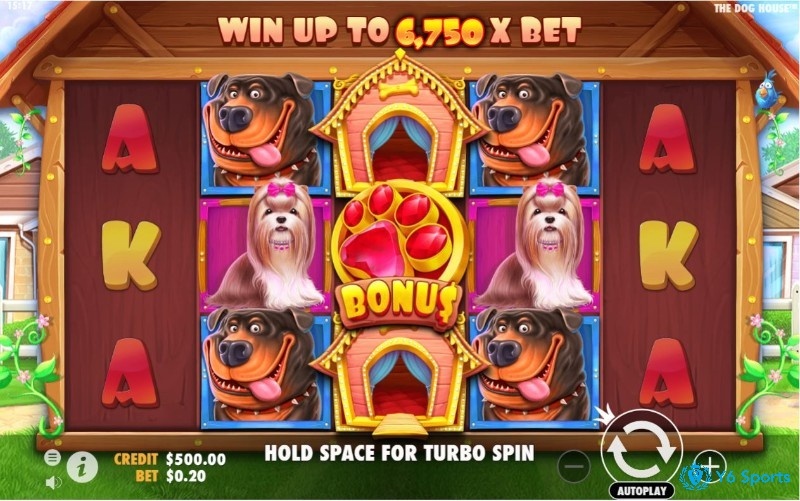 The Dog House: Slot Pragmatic Play về động vật thú vị