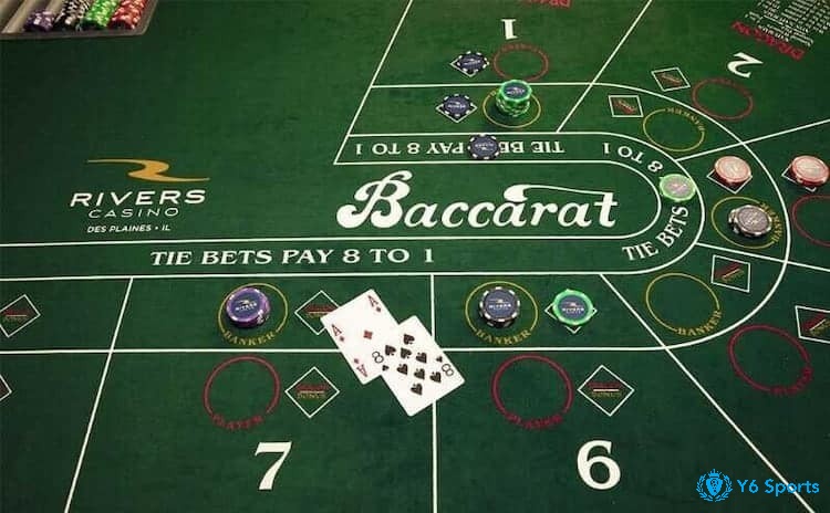 Những thuật ngữ dùng trong baccarat là gì?